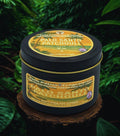 Twin Palms Fragrances Palo Santo Patchouli candle in a black tin with green leafy background