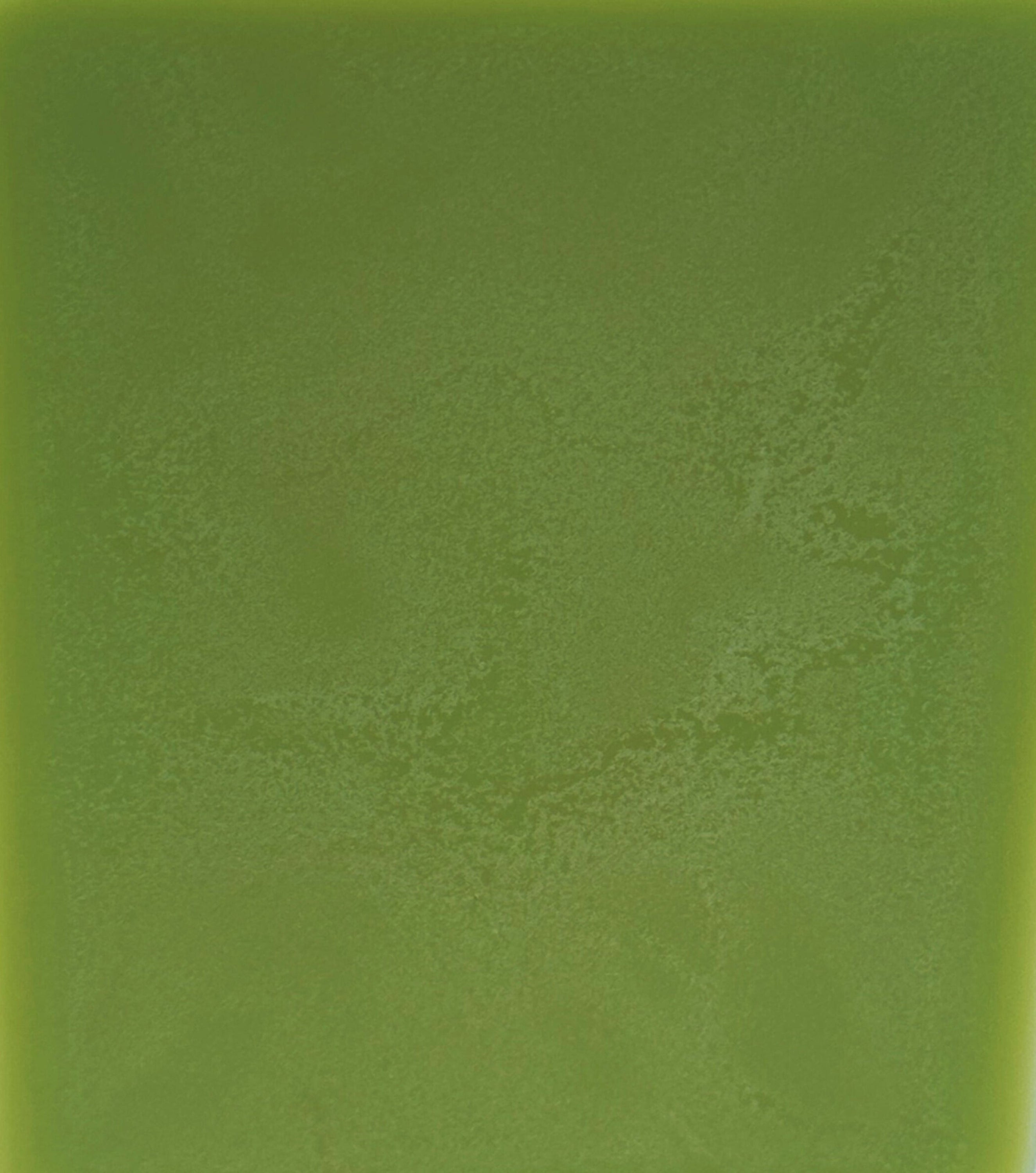 Solid green color swatch with a textured pattern
