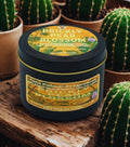 Candle labeled 'Prickly Pear Blossom' by Twin Palms Fragrances with cacti in the background.