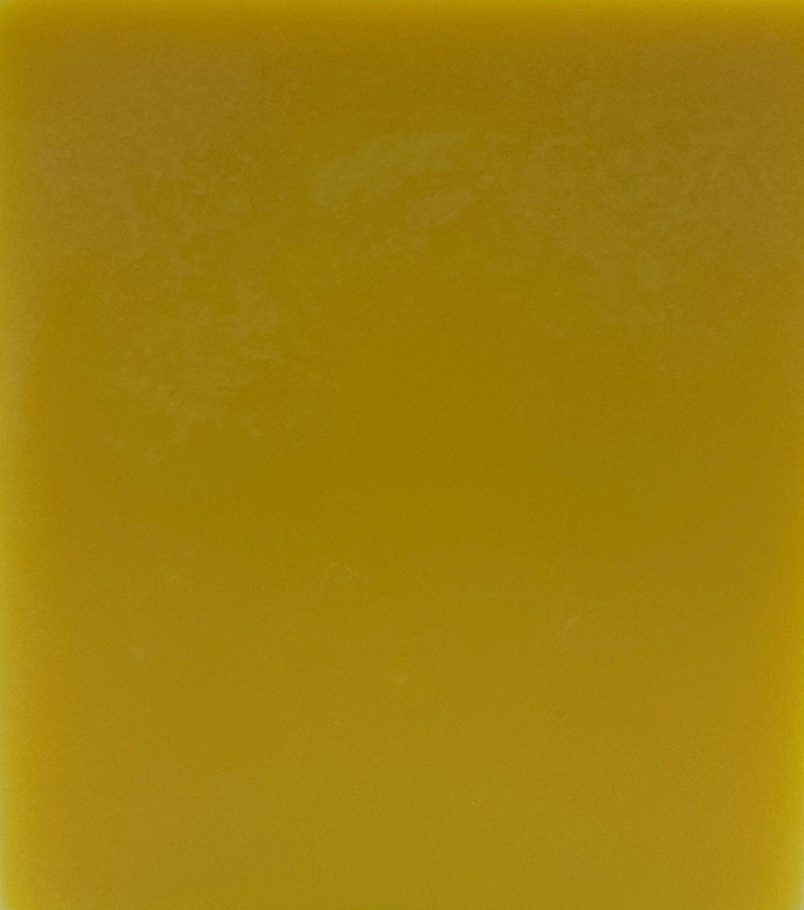 Solid mustard yellow color swatch