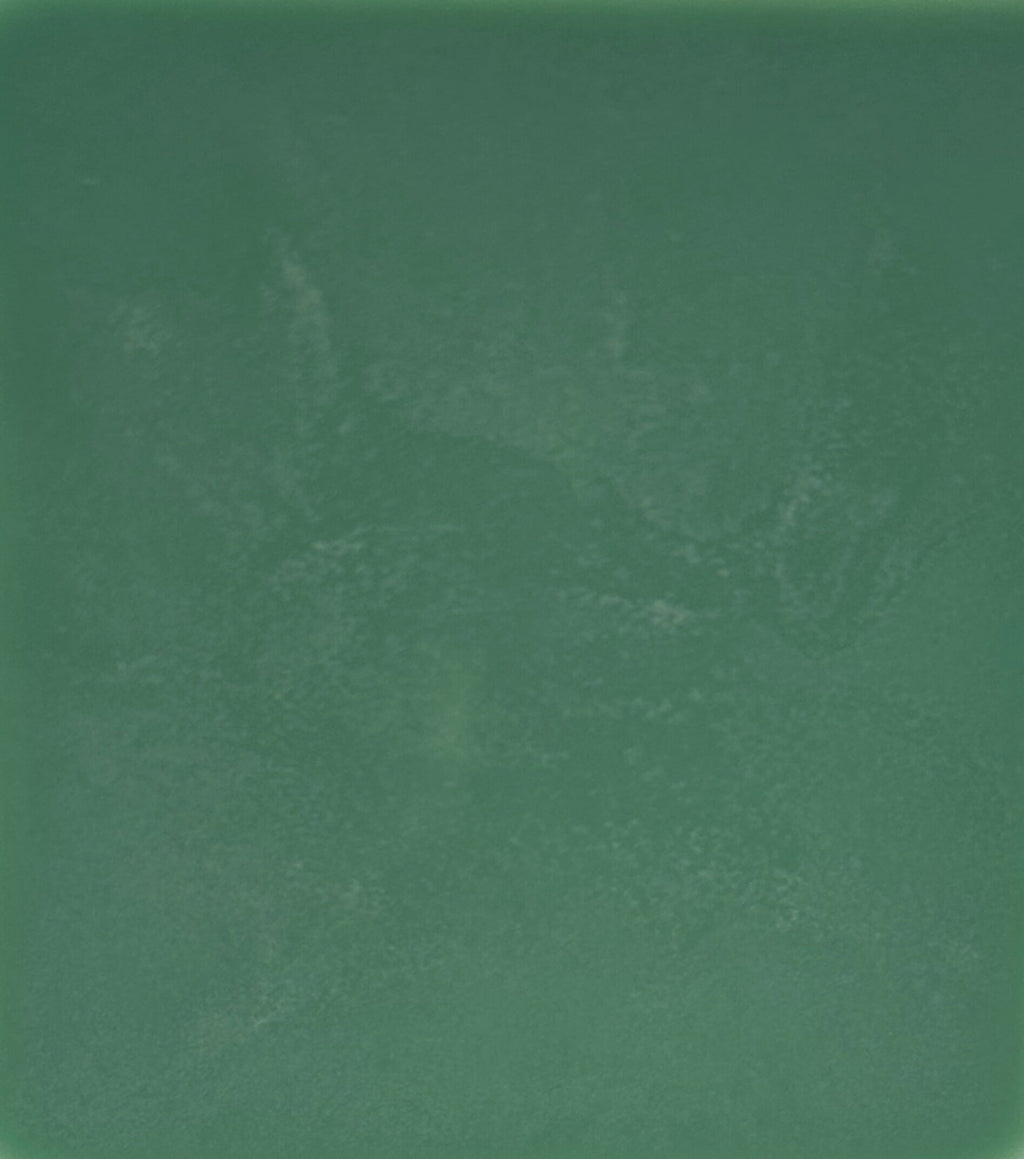 Solid green color swatch