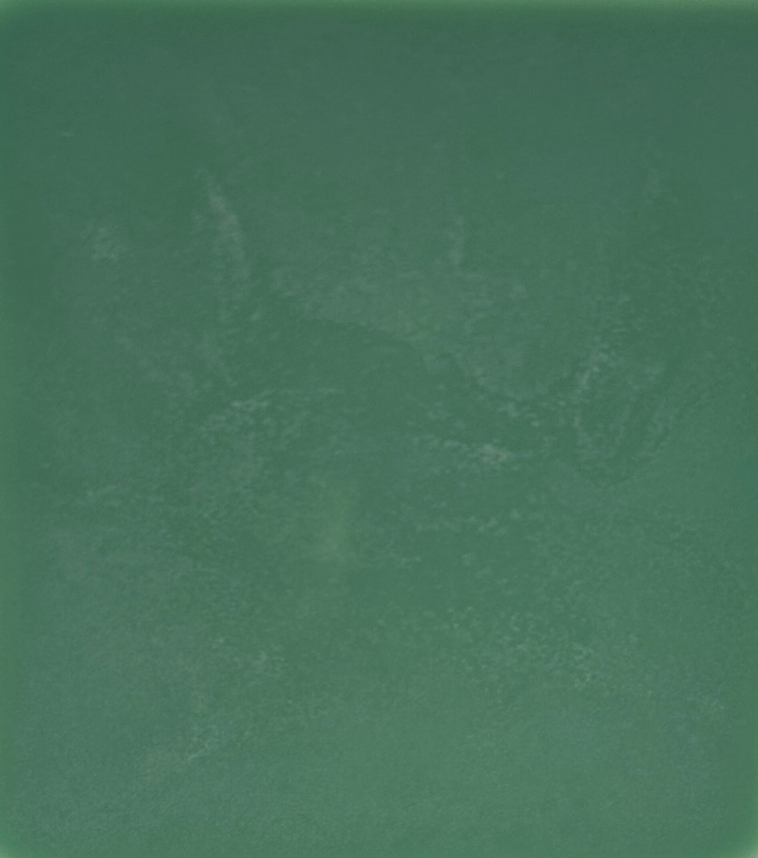 Solid green color swatch